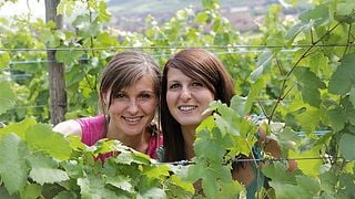 Alsace Organic Wine Tour & Tasting at Schmitt-Carrer