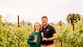 Vignoble des Trois Rois