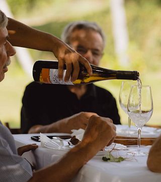Vinho Verde Vineyard Tour & Tasting at Quinta De Lourosa