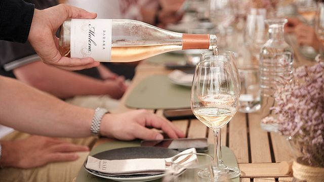 Weinprobe und Kellerführung im Weingut BARAKA