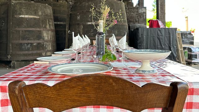 Degustación de coñac y picnic en Domaine Bourgoin Cognac