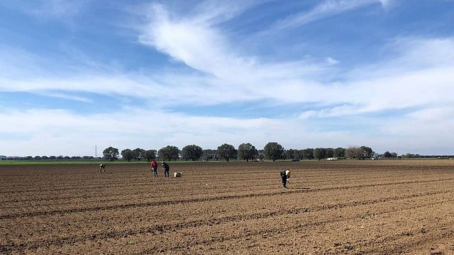 Puglia’s Finest: Tenuta Giustini Wine Tour & Tasting