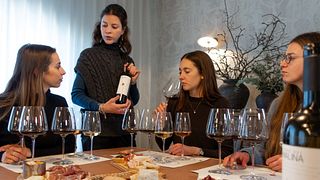 Wein und Honig: Ein überraschendes Weinerlebnis bei Vigne Del Malina