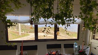 Vinho Verde Serenity: Wine & Vineyard Escape