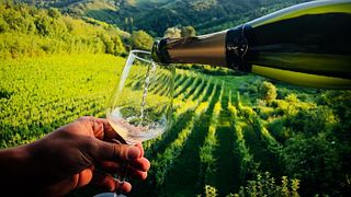 Vinarija Jagunić - A Gem in Croatian Uplands