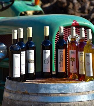 Wine Tasting at Massamier La Mignarde