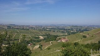 Visita e Degustação em Vinhedo | Cascina Orizzonte