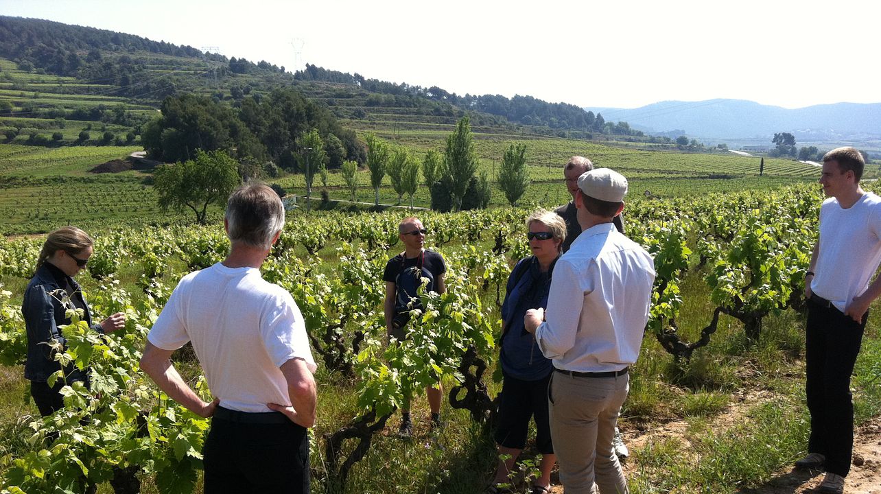 Excursión privada de un día al Penedès: campo, cata de vinos y gastronomía picante