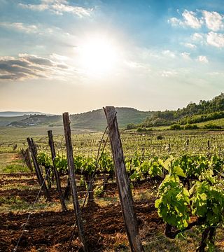 Demetervin Winery