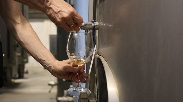Visite historique d'Évora et des vins de l'Alentejo en petit groupe