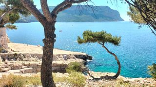 Rêve méditerranéen : balade en bateau à Cassis, Calanques et vin
