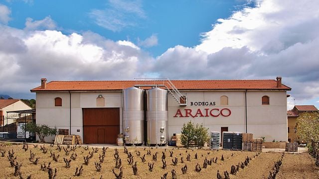 Tour per tutta la famiglia alla Cantina Araico