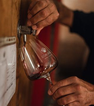 CORTE PAVONE Winery - Brunello di Montalcino