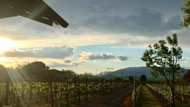 Taste Veneto Wines Crafted by a Family of Winemakers