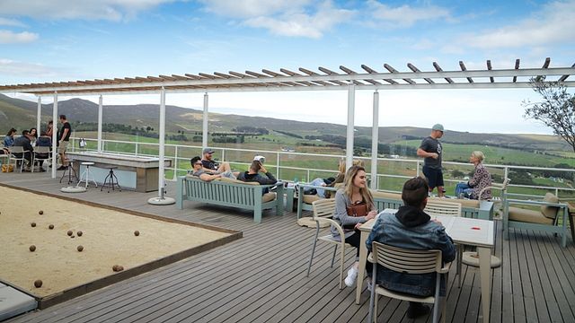Cata de vinos y visita a La Vierge Wines