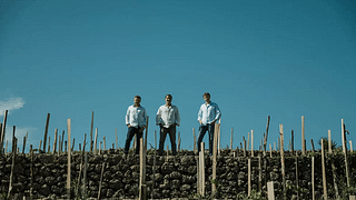 Tenute dei Ciclopi signature experience: Etna Wine Tasting