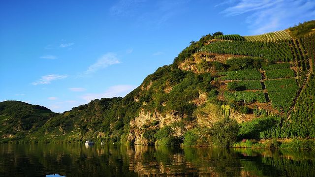 Weinprobe und Führung bei Hoffmann-Simon