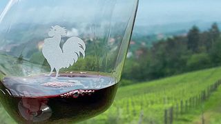 Degustação de vinhos em Poggi del Chianti Monnanni