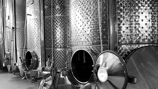 Degustação de vinhos e tour em Vinyes Dels Aspres