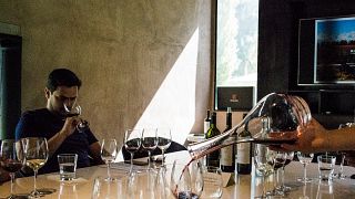 Experiência Clássica na WHT Huarpe Riglos Wines