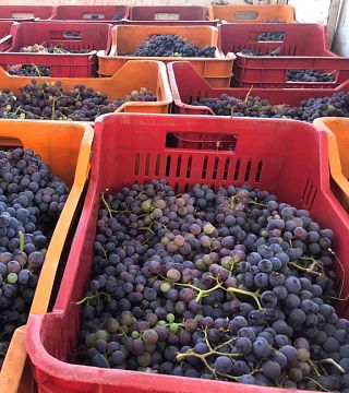 Girolamo Russo Winery