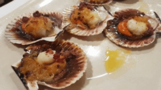Galicia: Oysters Tasting Experience