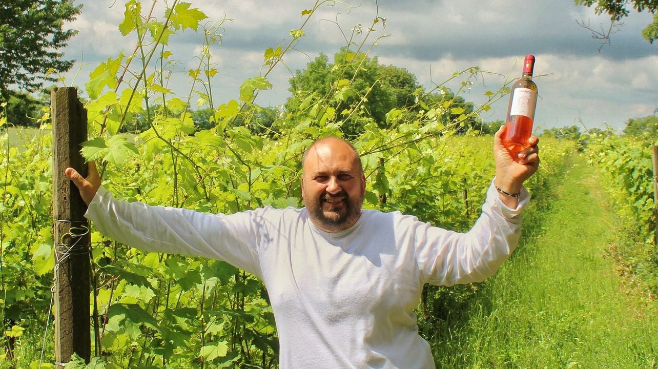 Cantina Pietta: A Legacy of Valtènesi Wines