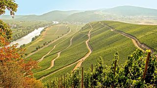 Dégustation de vins et visite au Weingut Karp-Schreiber