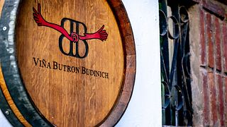 Erbe des Weinguts Butrón Budinich