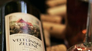 Degustação de vinhos + jantar no Wine From The Mill no Vina Z Mlyna