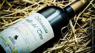 Prestigevinprovning på Azienda Vinicola Vernaccia F.Lli Serra