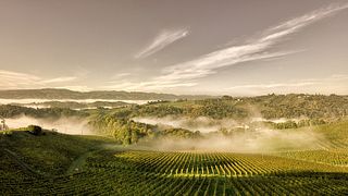 Podravska Wine & Pairing Tour at Vino Jarc