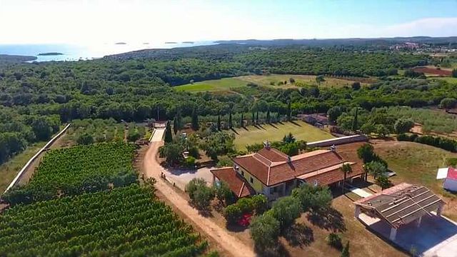 Dégustation et visite de vins de luxe à Collis