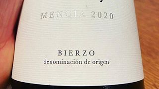 Wine tasting and tour at Bodegas y Viñedos Merayos
