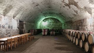 Forfait dégustation de vins Maran 1