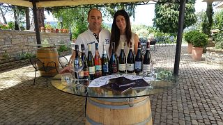 Degustação de vinhos e tour em Francesco Scanavino Sas