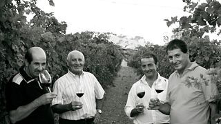 Territorial Tasting at Tenute Lombardo