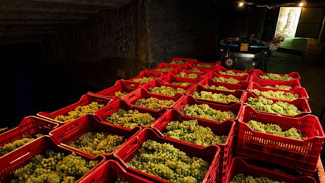Introdução a Monferrato | Castelo de Uviglie