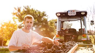 Cata de vinos y visita guiada en Weingut Klaus Nittnaus