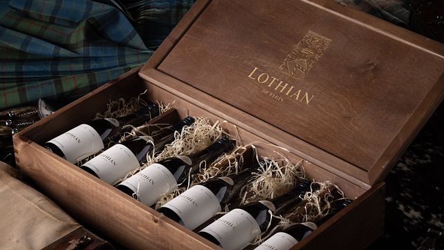 Dégustation de vins à Lothian Villa surplombant le Palmiet