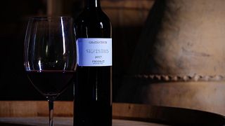 Cata de vinos en Gratavinum