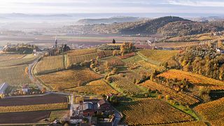 Besuch und Weinprobe in Costalungavini