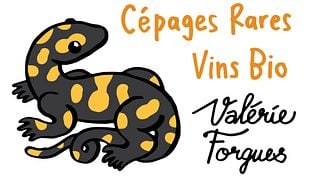 Degustação de castas raras e veneráveis de touraine | Domaine de la Méchinière