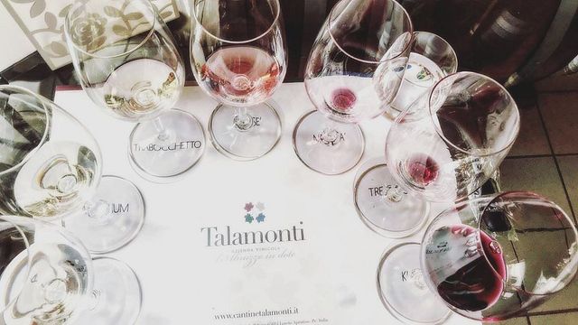 Degustação de vinhos e tour na Tenuta Talamonti