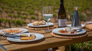 Wine Tasting & Gastronomic Picnic in the Vineyards – Edetària Experience