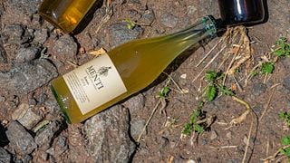 Veneto Garganega Wine & Vineyard Journey - Terroir