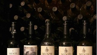 The Roots of the Volcano Experience at Menti Giovanni Agricultural Company