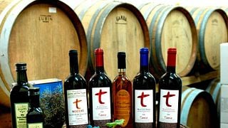 Degustazione e tour di vini a Tiberio
