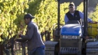 Degustazione di vini e visita presso la famiglia Volker Eisele