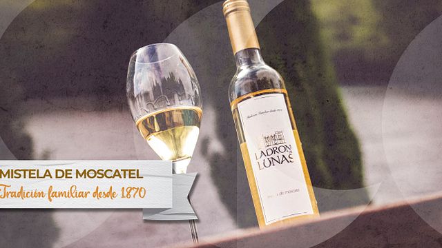 Degustação de vinhos e tour em Ladron De Lunas